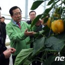 동정농장 이미지