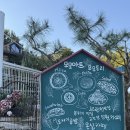 (특강)자연을 담은 도자기 | 가을산책하기 좋은 인천 계양구 ‘모모아트’ 방문후기