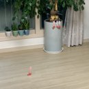 멍텅구리 아구찜 이미지