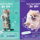 나우동물의료센터 네이버블로그