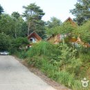 주천강자연휴양림 이미지