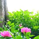 한국항공우주산업(KAI), &#39;빨갱이 색출&#39; 명목 1천억대 사업 중단 - 뉴스타파 이미지