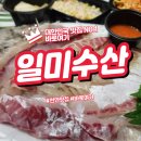 천안 회맛집 어가일미일미수산 진짜 신선하네요