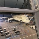 아랍 에미레이트항공 A380 후기 두바이 레이오버 마일리지 항공권 마이리얼트립 할인코드