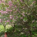 연기면_원수산MTB공원 이미지