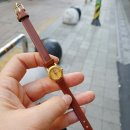 현주사 이미지