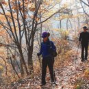 충청도의 산 - 월이산 551m 충북 옥천군 이원면, 영동군 삼천면 이미지