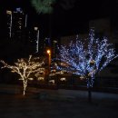 황금성당 이미지