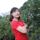 강신농장 이미지