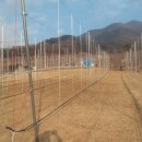 백신2리 이미지