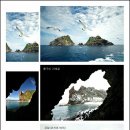 대아여행사㈜ 이미지