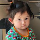 본비 이미지