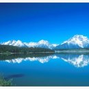 진컨설팅공인중개사사무소 이미지