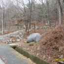 성주산휴양림 이미지