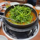 동강나루터