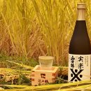 주식회사 우정유통 | 100인의 키키자케시 (100人の唎酒師-ききざけし) + 시음 후기