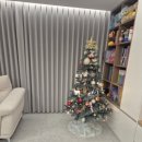 코리아 태비 태권도 | 2025년 11월 4주차 후기 (크리스마스 트리, 생일파티, 발레학원, 호두까기 인형)