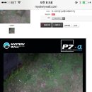 웰비트 Daum카페