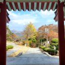 동읍144 | 경주 용담정(龍潭亭) 용추각 그리고 수운 최체우선생 용담가 이야기