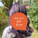 살롱드유니