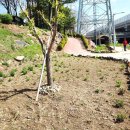 시흥시 전용배드민턴장 이미지