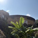 토루 | 샤먼 여행 - 토루 (가격, 위치, 후기)