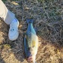 하천(갑천5) 이미지