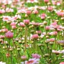 오미크론수학전문학원 이미지