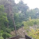 흥림산자연휴양림 이미지