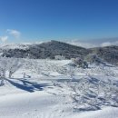 제158차 소백산 눈꽃 신년산행안내(1월10일,일요일) 이미지