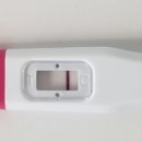 차*선 | 배란 9일차(DPO9) 임테기 후기｜시약선인가 매직아이인가