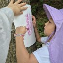 꿈드림유치원 이미지