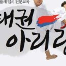 용인대 태권아리랑 이미지
