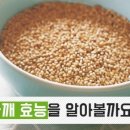 로뎀 농장 이미지