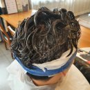 현정헤어 이미지