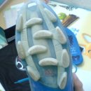 엡솔루트 이미지