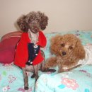 제이의집 이미지