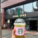 매실 | 스타벅스 KBO 콜라보 베이스볼 매실 그린티 굿즈 후기