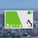 고도리몰 이미지