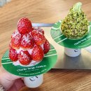 초코네 애견샵 | 대구 삼덕동 카페 찰리탱고에디션 크리스마스 소품샵 애견동반 후기