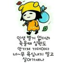 도장 이미지