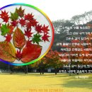 남양성지로 이미지