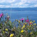 인터넷사랑 이미지