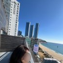 웨이브타운(선셋호텔) | 부산 해운대 오션뷰 호텔 선셋호텔 | 이그제큐티브 스위트 와이드 테라스 후기