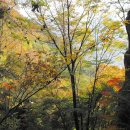 백양주유소 이미지