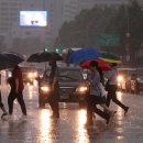 동부 비상-5호 이미지