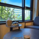 탄방지하차도 | 대전마사지 아벨테라피마사지 괴정동에서 받은 고급 테라피 후기