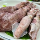신진도수산