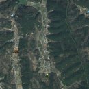 비실연꽃마을 이미지