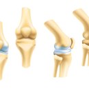 다나아의원 이미지